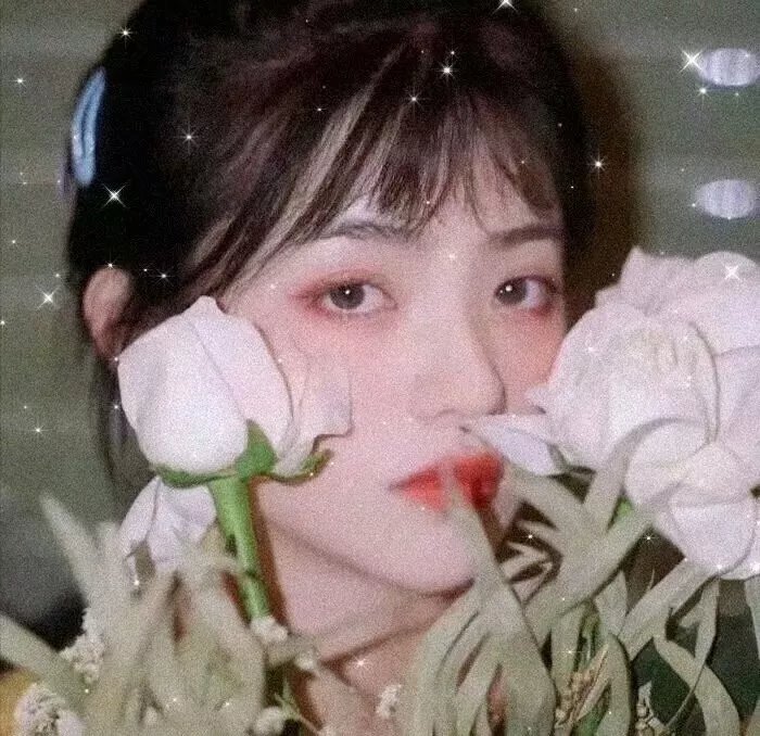 一棵树
